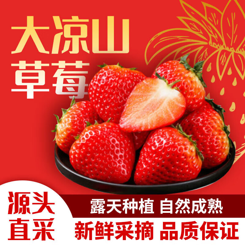 ��ӭ����ɽ���ղ�ݮ99ţ���Ͳ�ݮ 3�ﾫѡ��������2.2� 28.9Ԫ