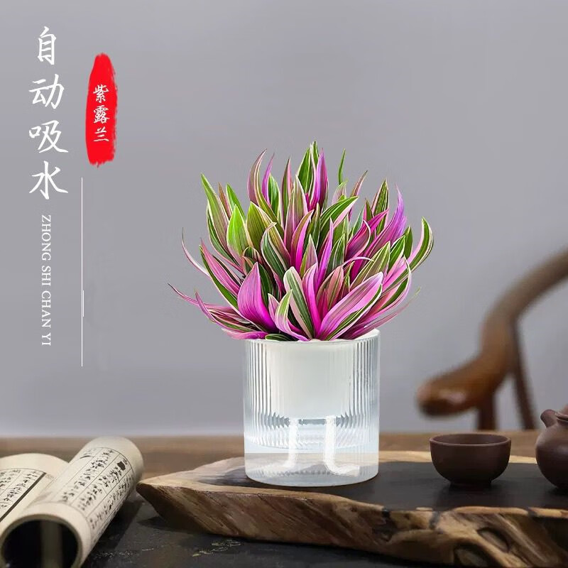 ��ֲ�������ڹ�ϫ�Զ���ˮ���Դ����Ժ÷���ֲ�����ˮ�����໨�� ����ϫ���Ժ÷�������¶��