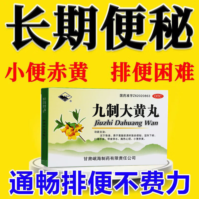 九制大黄丸10袋中药通便药成人老年人长期便秘润肠清肠排毒排宿便小便