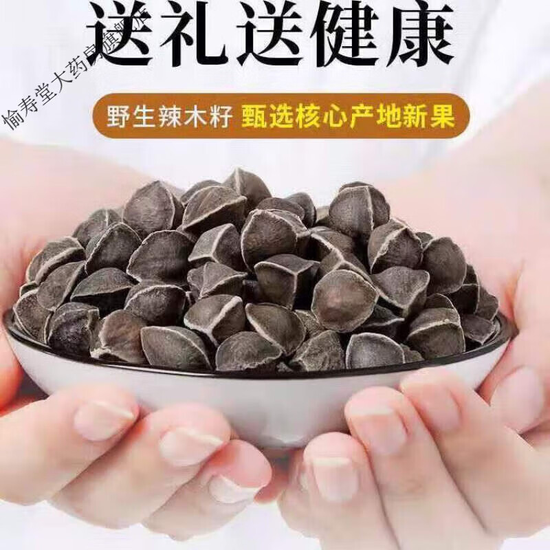 云南辣木籽老树大粒特级正宗食用辣木籽茶果 [特级超大果辣木籽250克