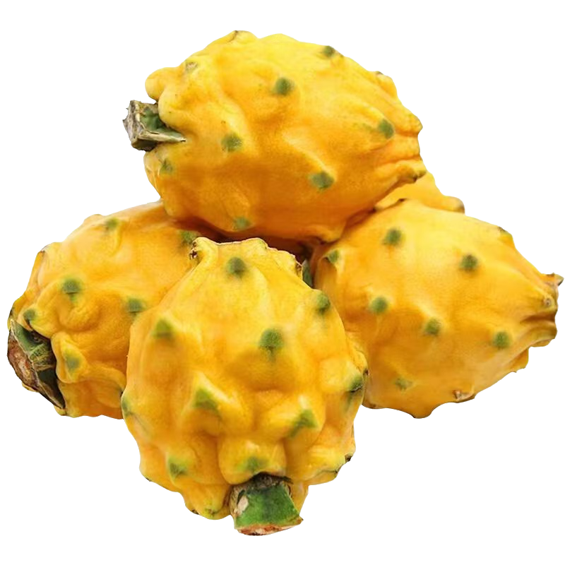 裕农叔【顺丰JD】燕窝果麒麟果孕妇水果黄色火龙果海南中秋节礼品送礼 2斤净重精品中果（单果100-150g）