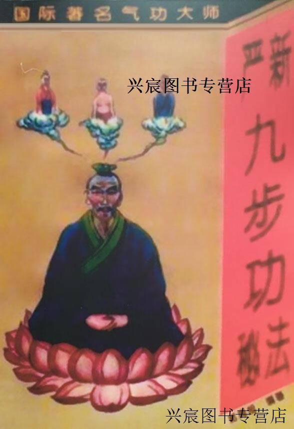 严新九步功秘法,郭周旭编著,四川科学技术出版社