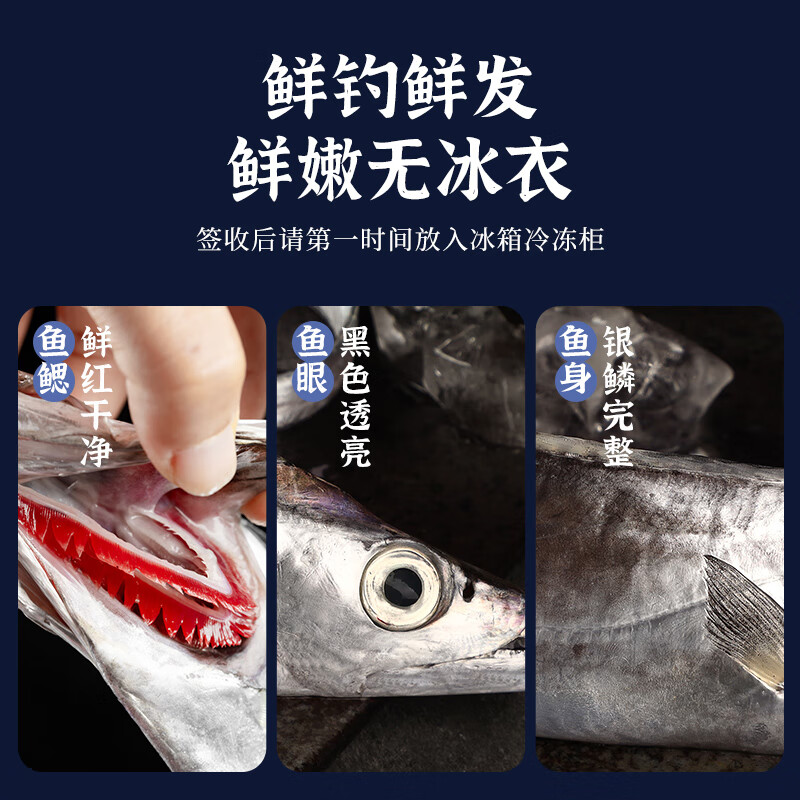 源外园 东海钓带鱼 新鲜船冻特级大钓带鱼整箱大号整条生鲜 鱼类带鱼 带鱼整条净重无冰【5斤装】 大规格0.7-1斤/条