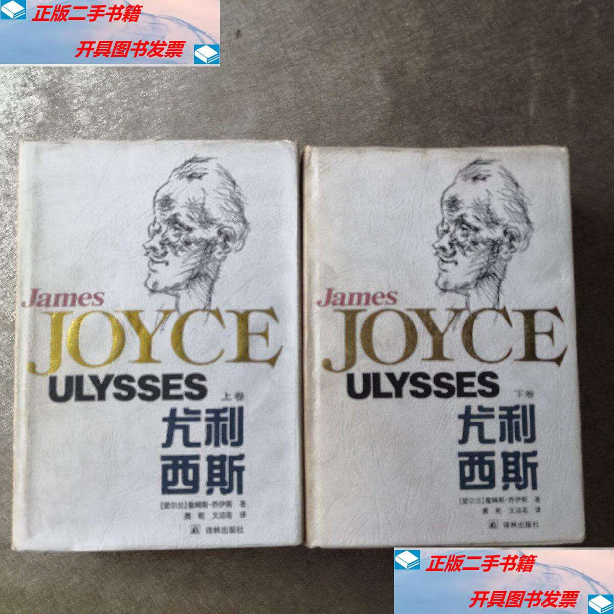 【二手9成新】尤里西斯 (上下 全2册) 精装 护封