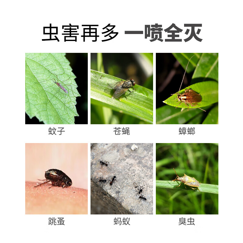 拜乐天然除虫菊素家用室内跳蚤蚂蚁苍蝇杀虫剂气雾剂通用型喷雾 30ml*2瓶附赠喷壶（家庭装）