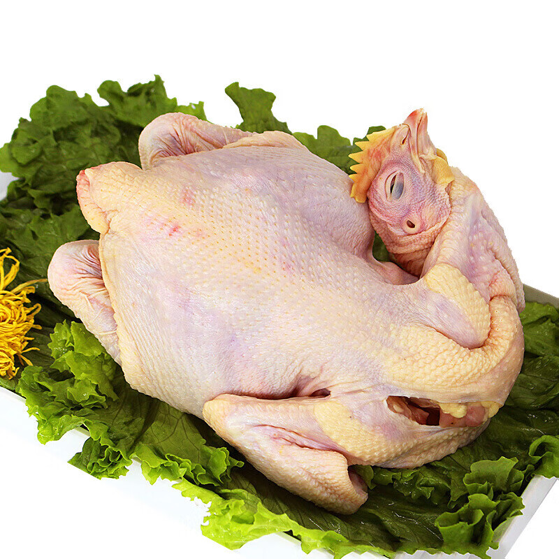 虎钢馋3斤大三黄鸡 土鸡新鲜现杀冷冻白条鸡整鸡走地鸡柴鸡老母鸡炒鸡