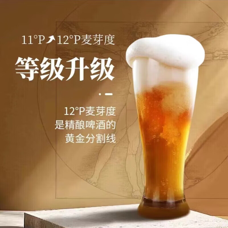 轩博精酿啤酒 小麦白啤洒整箱 春日畅享 黄金版12度 500mL 12罐