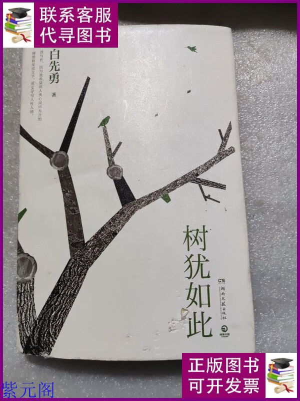树犹如此(白先勇亲定选本,精装珍藏版) 湖南文艺出版社二手书