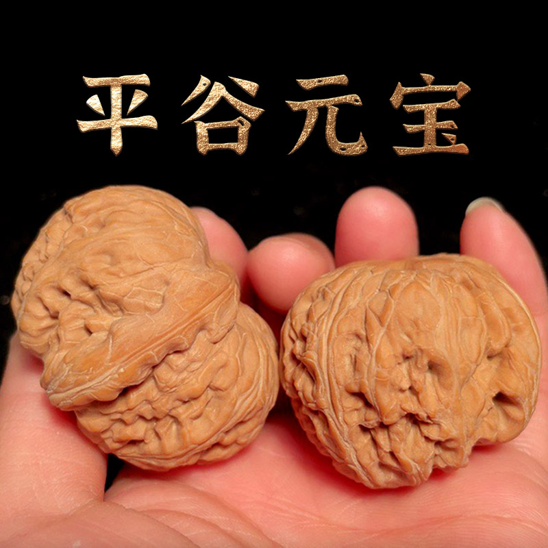 山中玉 文玩核桃 元宝平谷小众品种大尺寸核头古玩麻核桃送礼物七夕 a