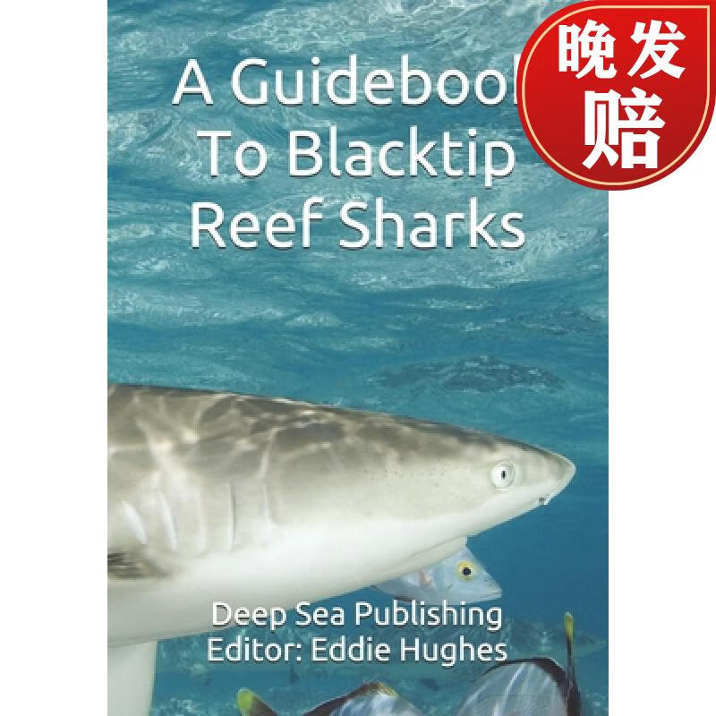 【4周达】a guidebook to blacktip reef sharks