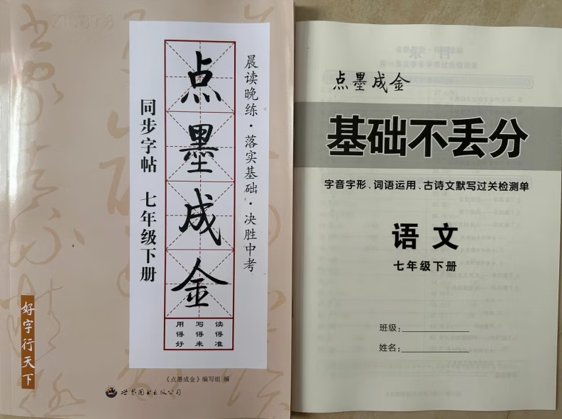 2024年新版 点墨成金初中语文同步字帖七年级下册语文