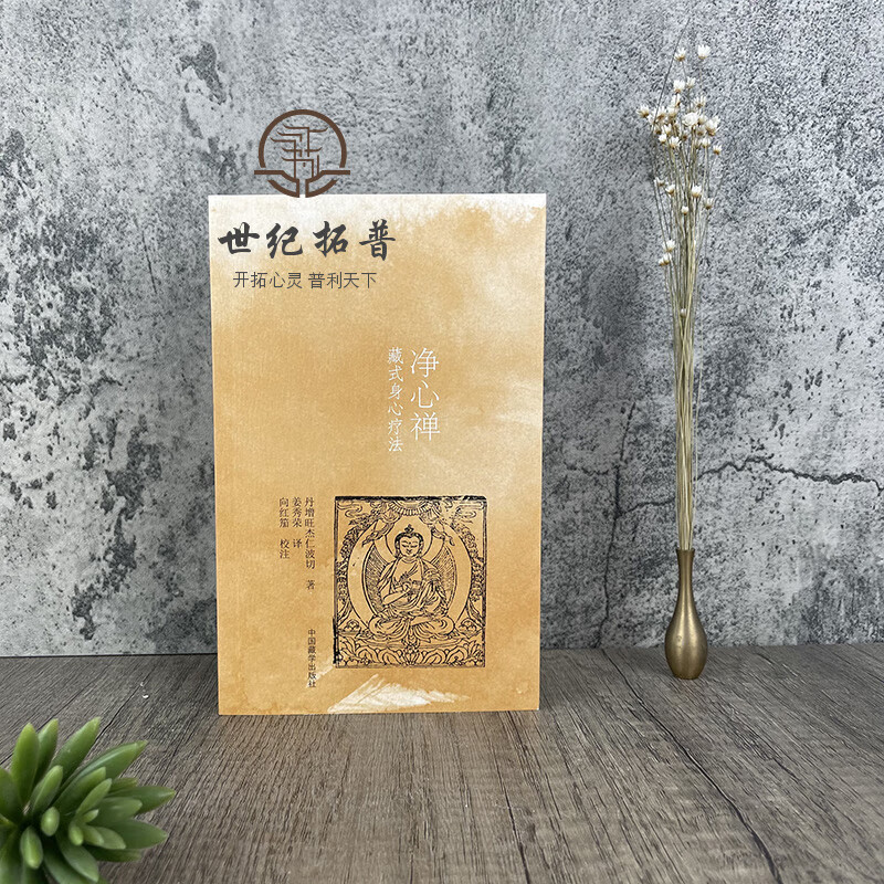 净心禅:藏式身心疗法 丹增旺杰仁波切 中国藏学出版社