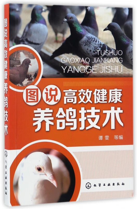 图说高效健康养鸽技术