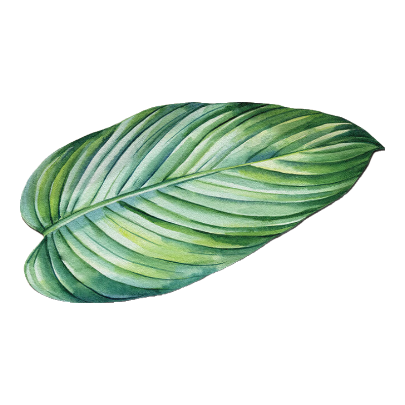 �軻������ �������� ԡ�ҵص� ϴ�ּ��ŵ� 45cm*80cm ������ˮ 19.9Ԫ