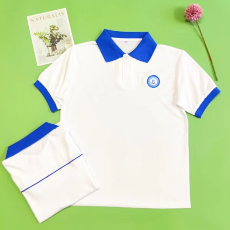 新时代中学 防城港统一初高中生 校服短袖防城港t恤衫 新时代中学加