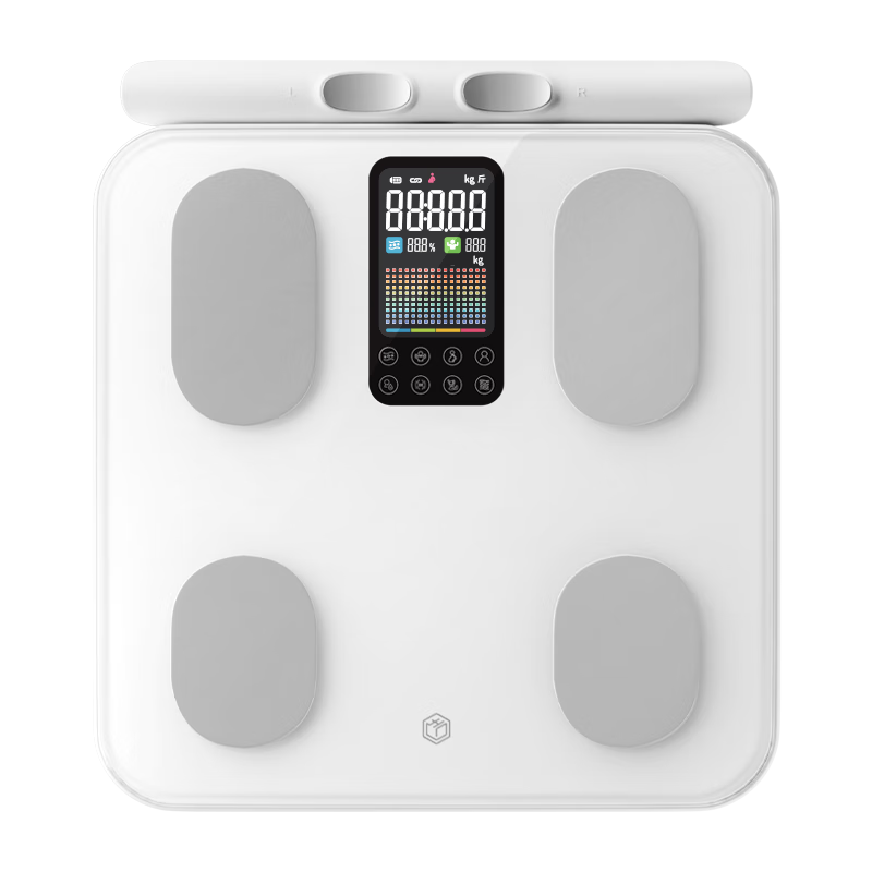 �������� ��֬��