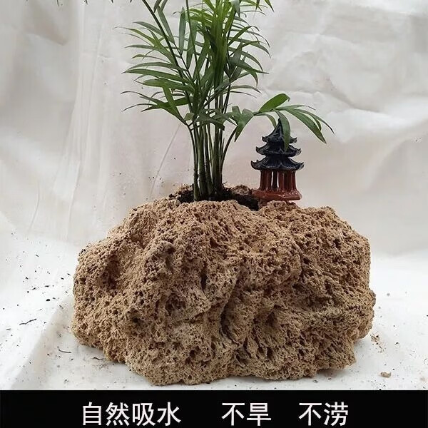 朴彩上水石原石假山盆景 草菖蒲附石 石头花盆吸水石花盆麦管石花盆