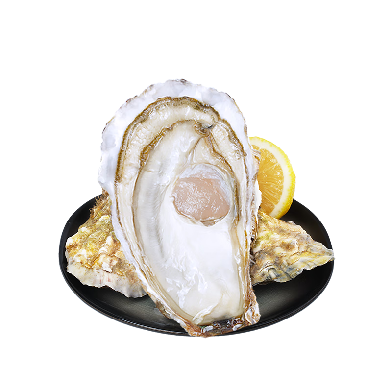 ��˾�� �ʻ���ɽ��̬���4XL ����4�� 8-11ֻ ����Դͷֱ�� 66.9Ԫ