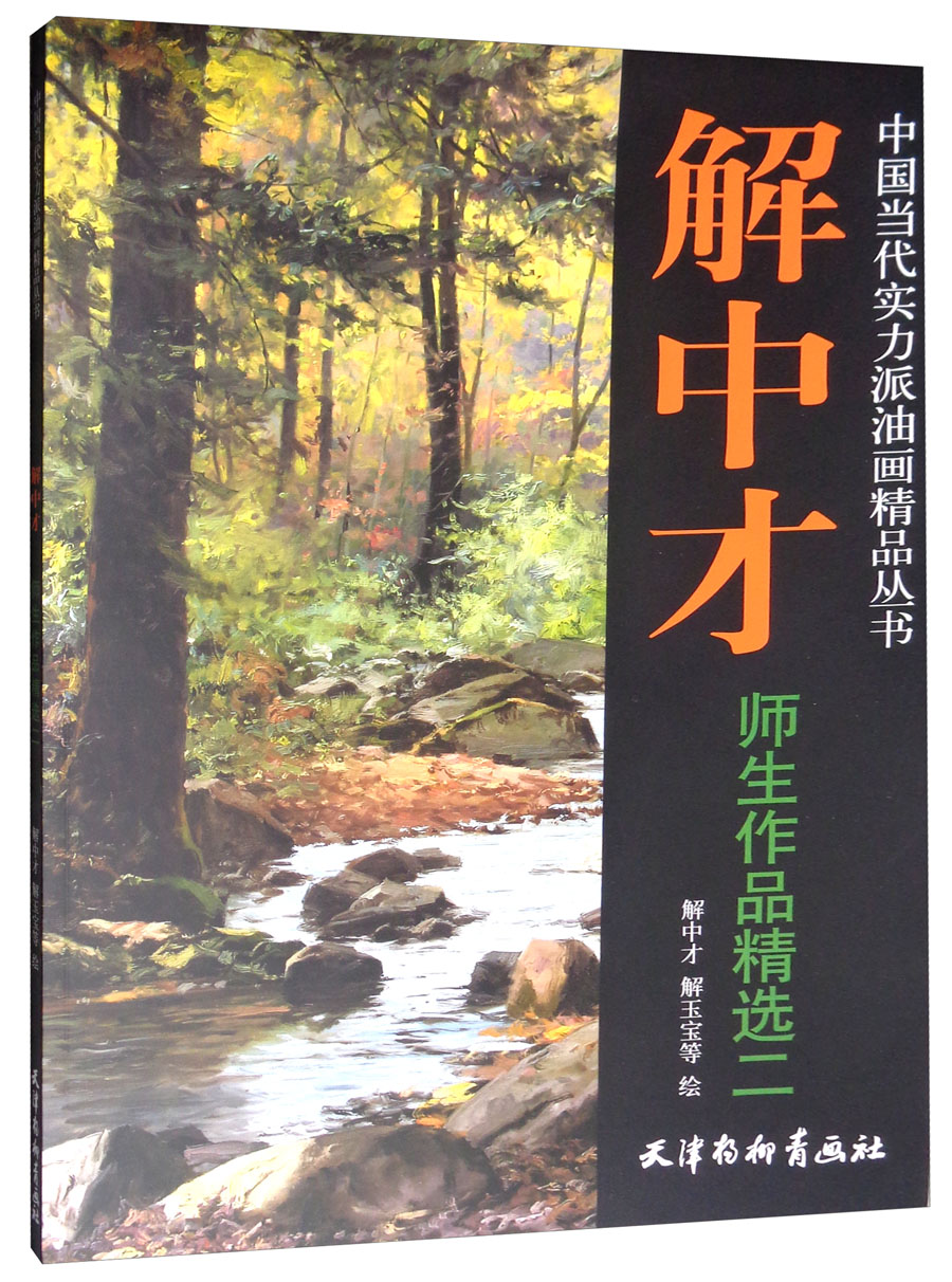 解中才师生作品精选（2）/中国当代实力派油画精品丛书怎么看?