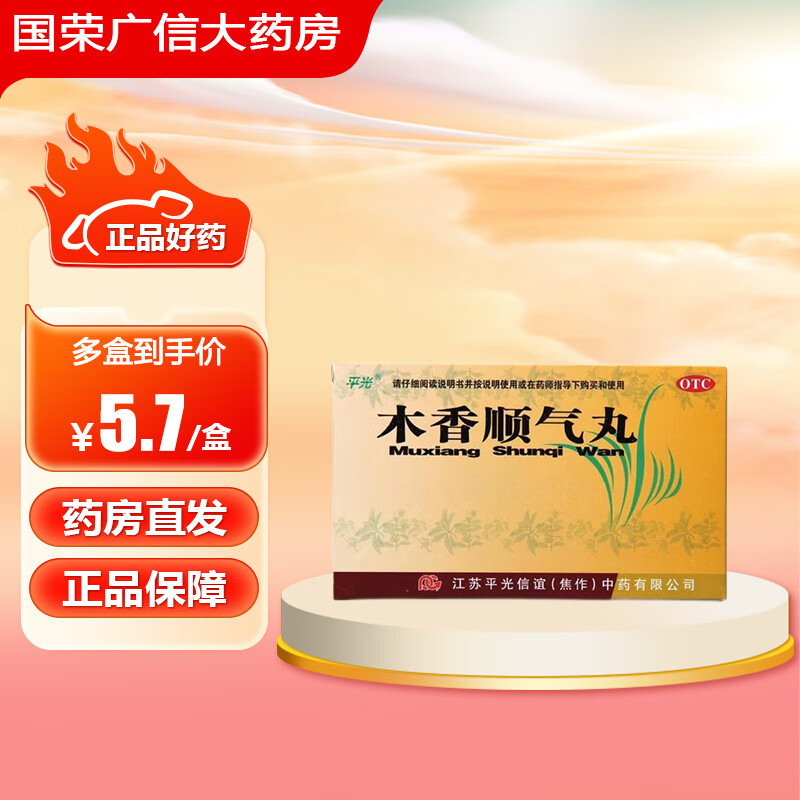 平光 木香顺气丸 6g*10袋 行气化湿健脾和胃用于湿浊中阻脾胃不和所致