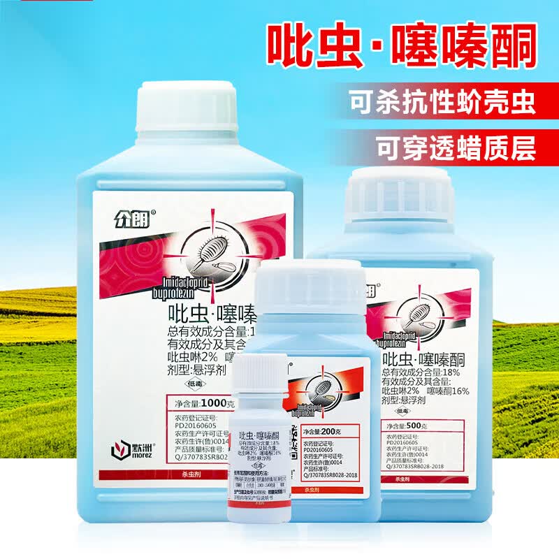 蚧壳虫药专用吡虫啉噻嗪酮柑橘果树树虱子介壳虫蚧必治农药杀虫剂 20g