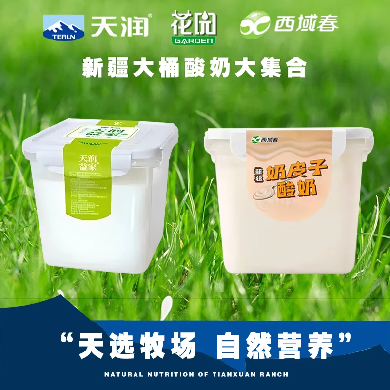 天润新疆天润酸奶全脂风味发酵乳1kg/桶浓缩低温老酸奶桶装 天润益家2斤+西域春奶皮子大桶