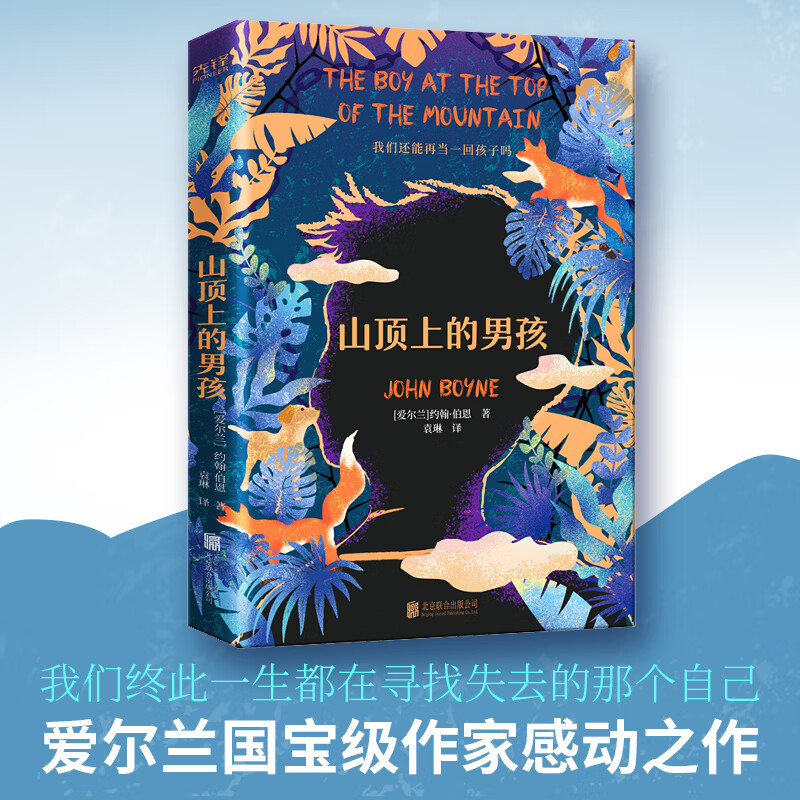 山顶上的男孩 (爱尔兰)约翰·伯恩