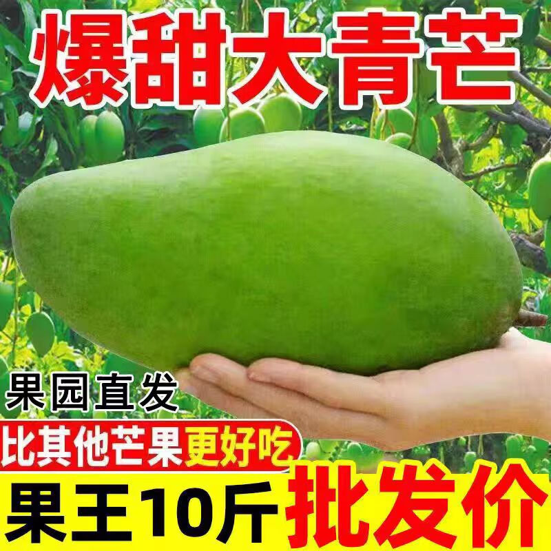 �ֶ���Ʒ�����ʴ�����â��������ââ����������ˮ��10����ժ�� 10�� ����