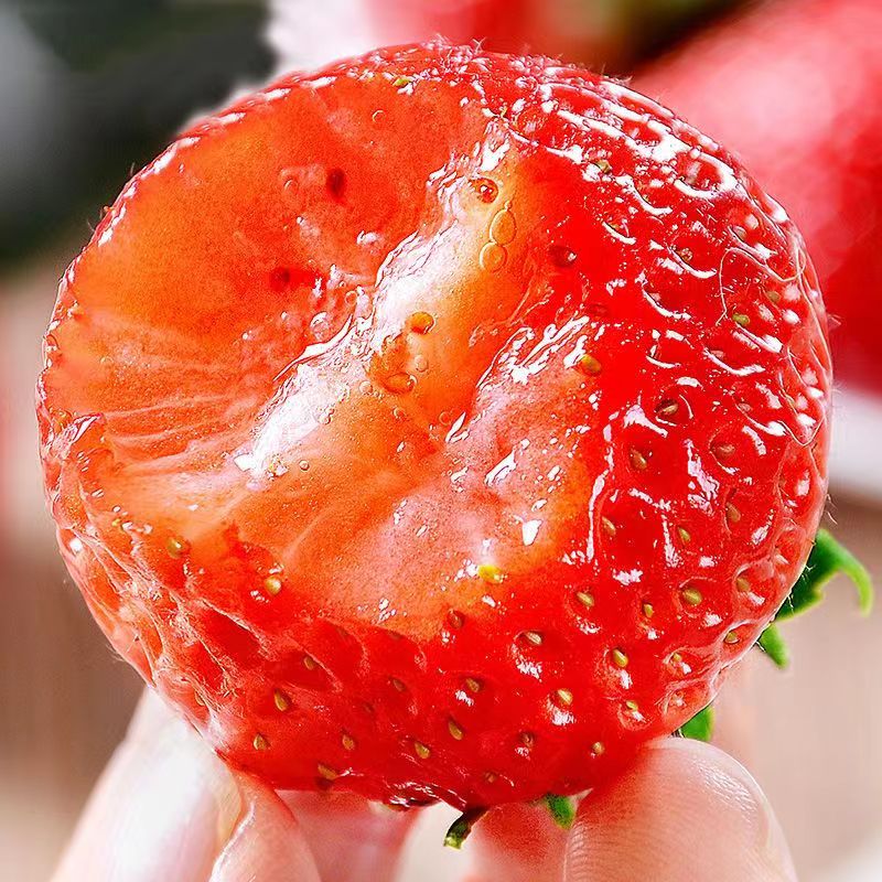 绿相忆现摘大凉山红颜草莓 新鲜水果草莓四川牛奶草莓当季时令生鲜 特大果2盒草莓【精品果】