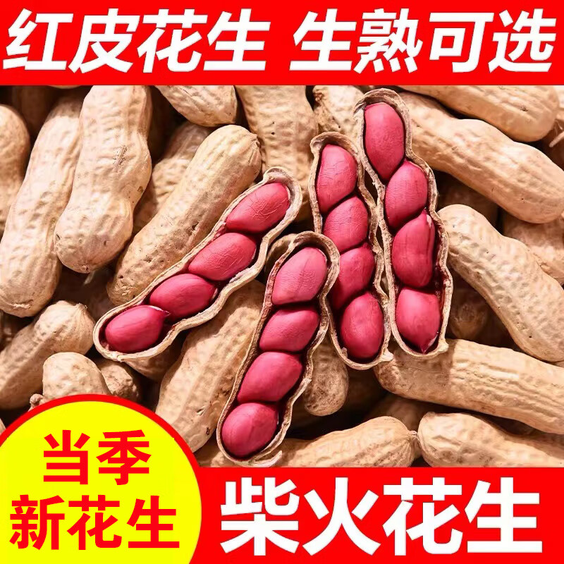 驼背熊红皮生花生新鲜山东原味花生带壳炒熟红衣花生晒干四粒红炒货铁锅 【熟】带壳炒熟红皮花生一斤