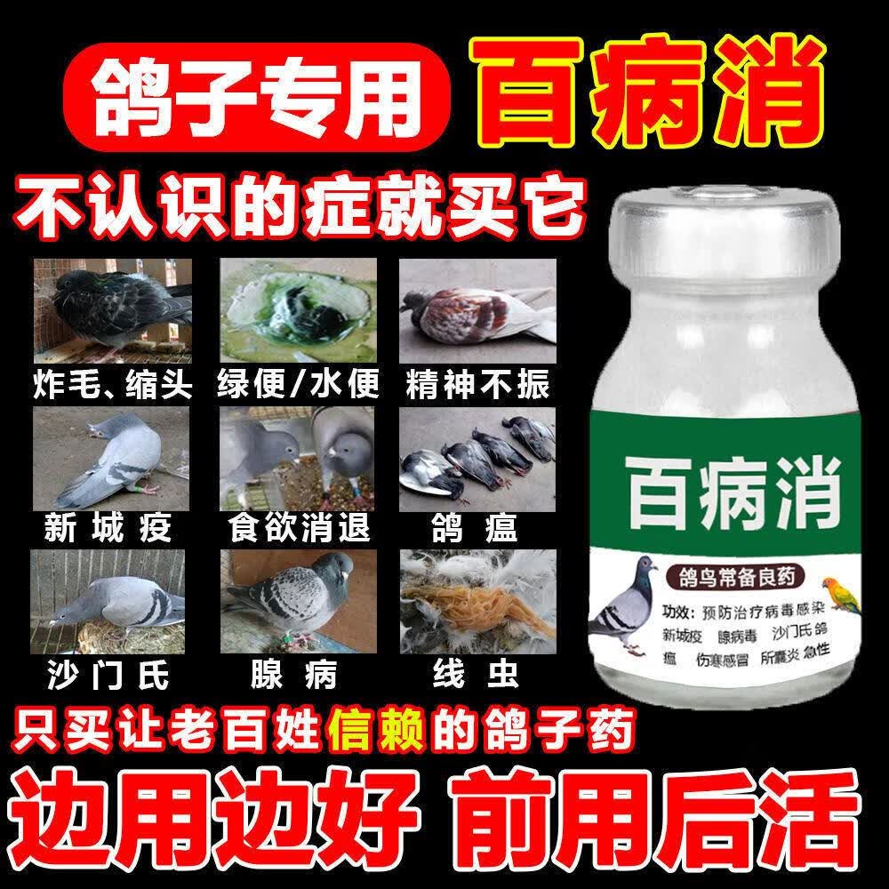 鸽子专用药品大全常见病拉稀水便鸽瘟歪脖鹦鹉百病消 百病消1瓶