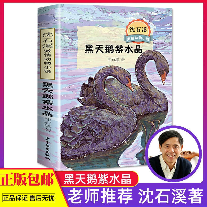黑天鹅紫水晶 沈石溪激情动物小说故事书 老师阅读课外书三四五六年级