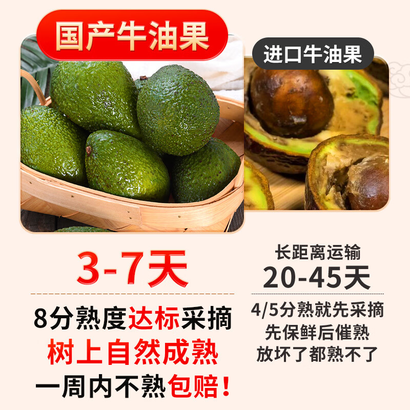 译优农【不熟包赔】云南孟连哈斯牛油果新鲜水果国产鳄梨大果健康轻食 8粒【单果100-130g】实惠中果