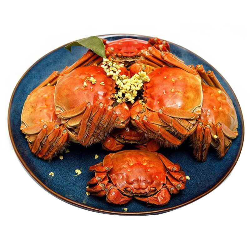 【活蟹】(网兜蟹)洪泽湖大闸蟹鲜活螃蟹 全母蟹2斤装7-10只装