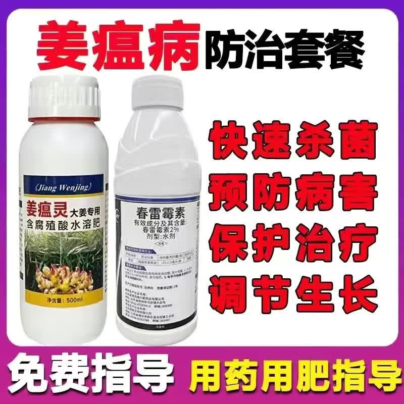 旋转乾坤生姜大姜沙姜病害专用药烂脖子病根腐病霜霉病叶枯病姜瘟病茎