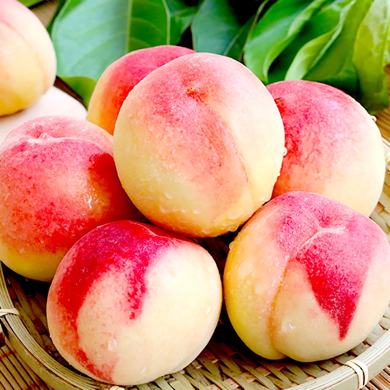 山东蒙阴水蜜桃 新鲜脆甜桃子 毛桃子 新鲜水果 5斤大果80%人的选择