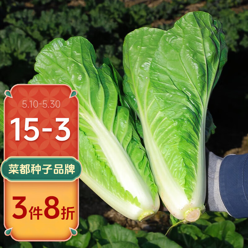 北蔬 蔬菜种子大全品种阳台四季播种 批发家庭种植农