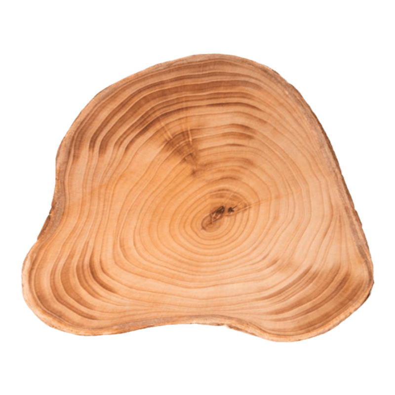 创京懿选银杏木菜板整木实木菜板杏木砧板泰兴白果树菜墩整木原木案板