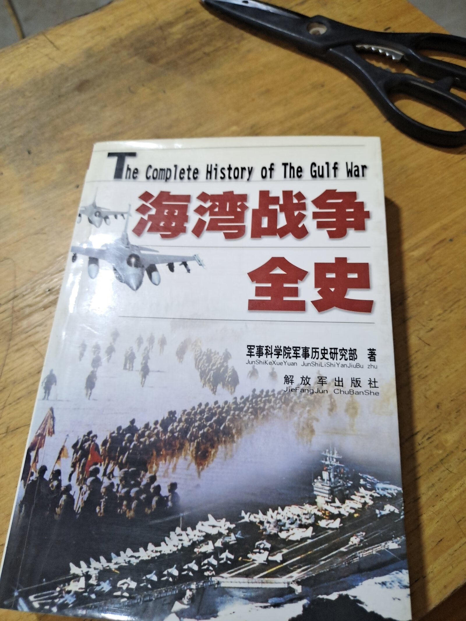 [二手9成新] 海湾战争全史