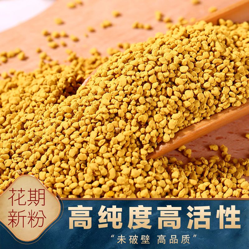 油菜蜂花粉  青海門源油菜花花粉 蜂花粉未破壁油菜純粉可食用天然高原蜂活性花粉未破壁 100g