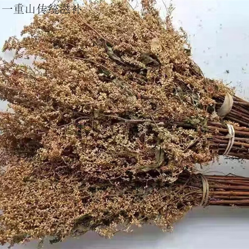 临安天目山六月霜茶高山茶刘寄奴奇蒿花凉茶剪断整把六月雪带花籽全部