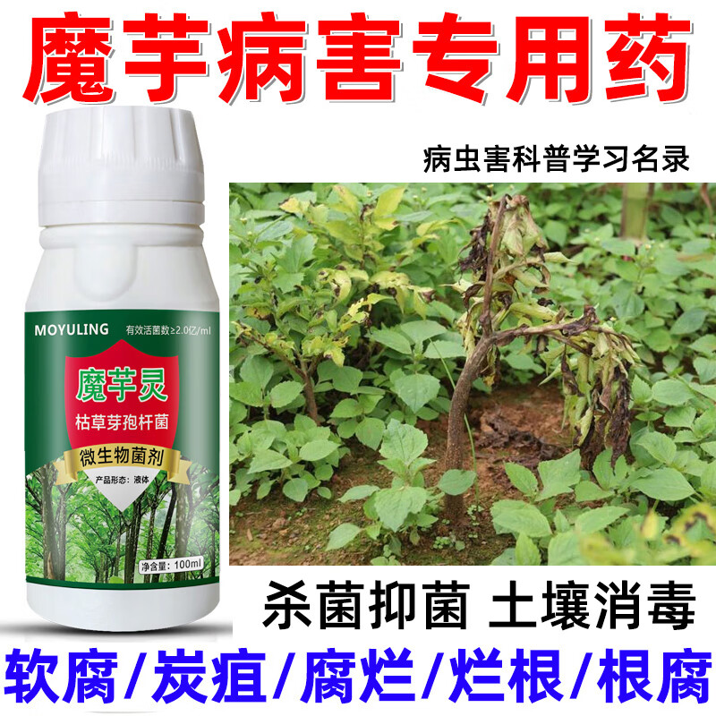 魔芋专用药魔芋根腐病软腐病腐烂病干尖黄叶纹枯病炭疽病杀菌剂 魔芋