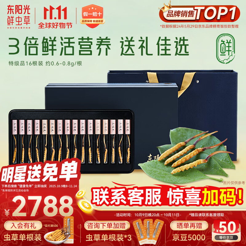 东阳光鲜虫草0.6-0.8g/根16根新鲜冬虫夏草补品送长辈老人源头直发包邮