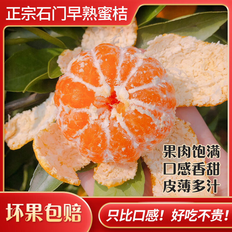 石门秀坪柑橘湖南早熟品质成熟薄皮无核现摘新鲜送人蜜橘石门蜜桔 60mm-65mm大果 9斤带箱10斤装