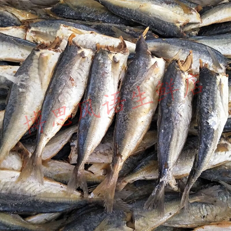 新鮮巴浪魚干福建特產無頭新貨干巴浪魚小提魚咸魚干干貨批發(fā) 咸魚干2斤（1000g）