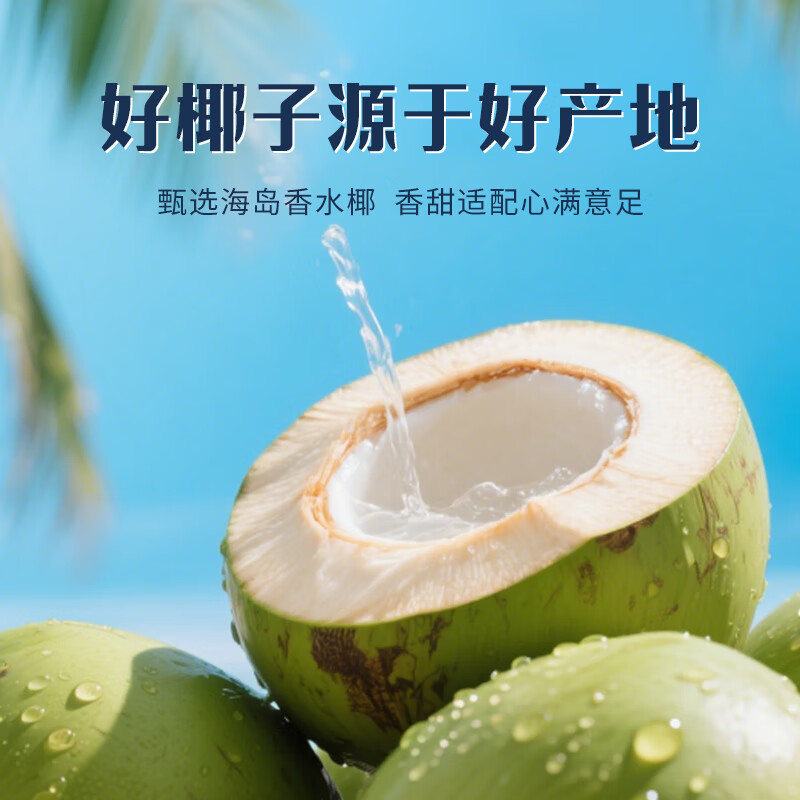 第28街100%椰子水自然电解质孕妇饮料儿童椰汁果汁大小瓶整箱0脂0蔗糖 100%椰子水350ml（尝鲜装）6瓶/倍儿好喝