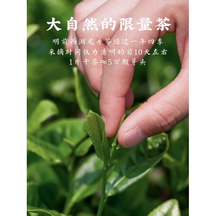 第一江南江南西湖龍井茶葉禮盒送禮綠茶送長(cháng)輩領(lǐng)導禮品 150g 保價(jià)15天