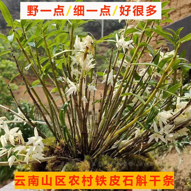 云南山区铁皮石斛干条源头产地铁皮石斛晒干条5年以上石斛条晒干 5年以上石斛条晒干1斤（500克）