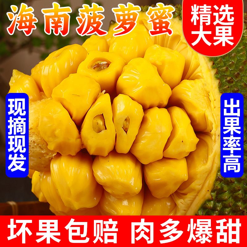 南业果海南菠萝蜜 15-20斤