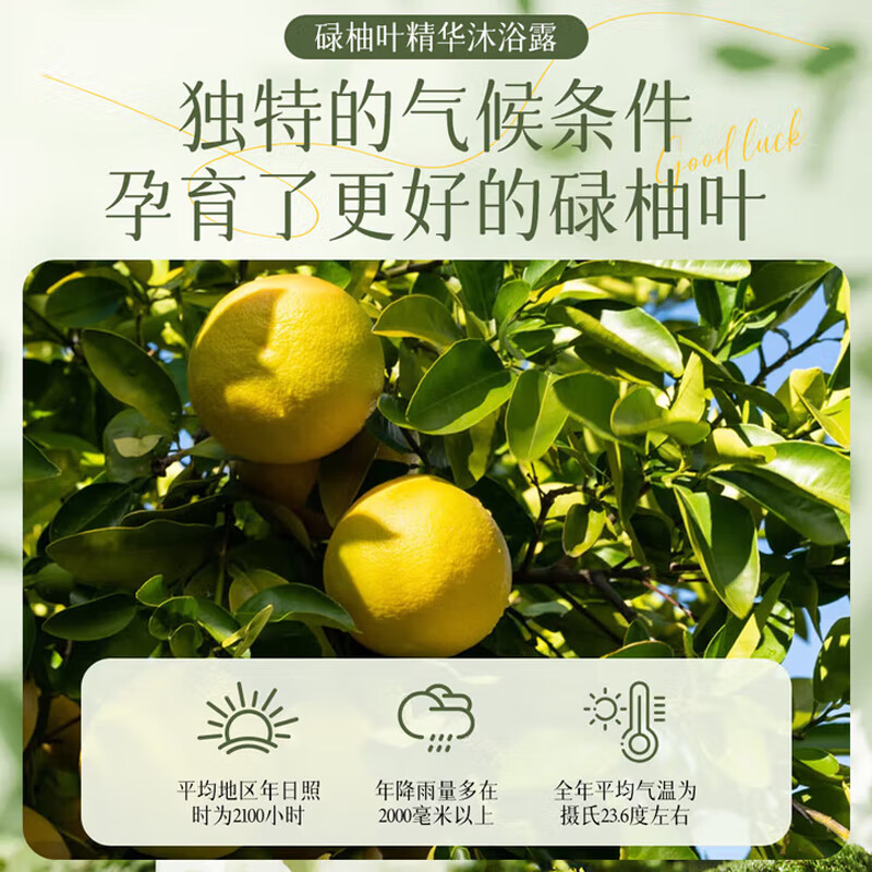 芭奢碌柚叶好运清爽净澈沐浴露深层清洁控油保湿水润舒适柚子叶沐浴乳 碌柚叶沐浴露500g-2瓶